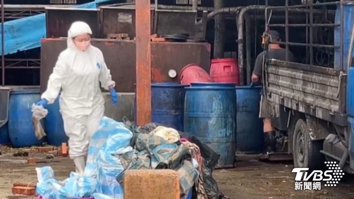 獨/控幫清廚餘被刁難 豬農苦等5小時「做白工」