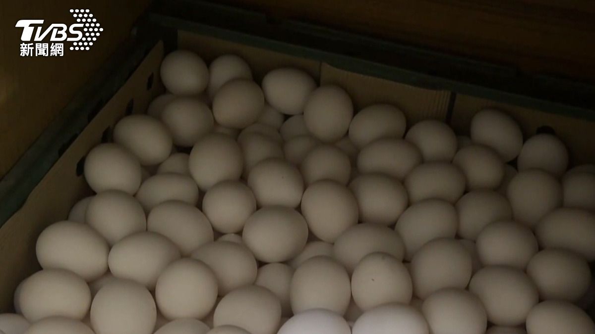芬普尼超標雞蛋流入台中！影響35家店　業者急喊「已停用」
