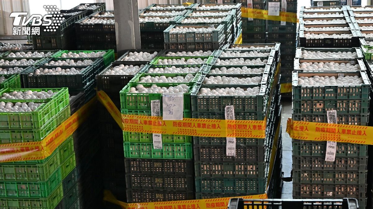 芬普尼蛋私運4萬顆流市面！蛋行被抄　彰化連夜銷毀25萬顆
