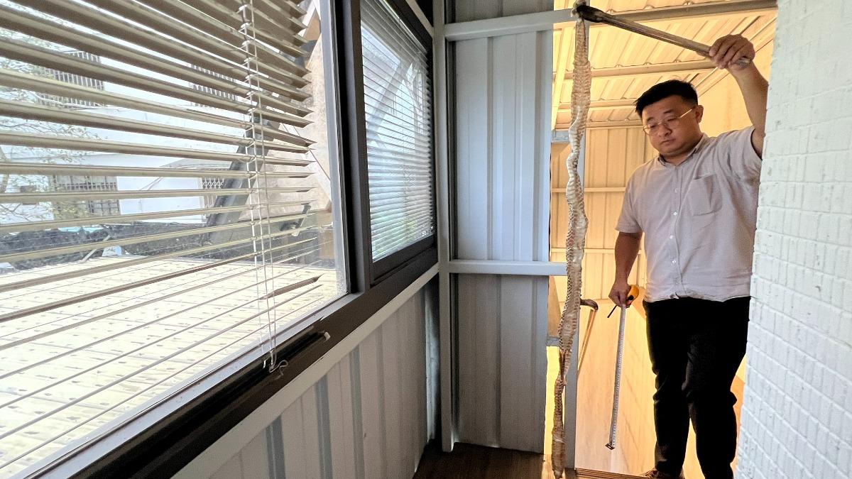 辦公室驚見完整蛇皮　員工緊繃上班：腳麻　好怕牠還在室內