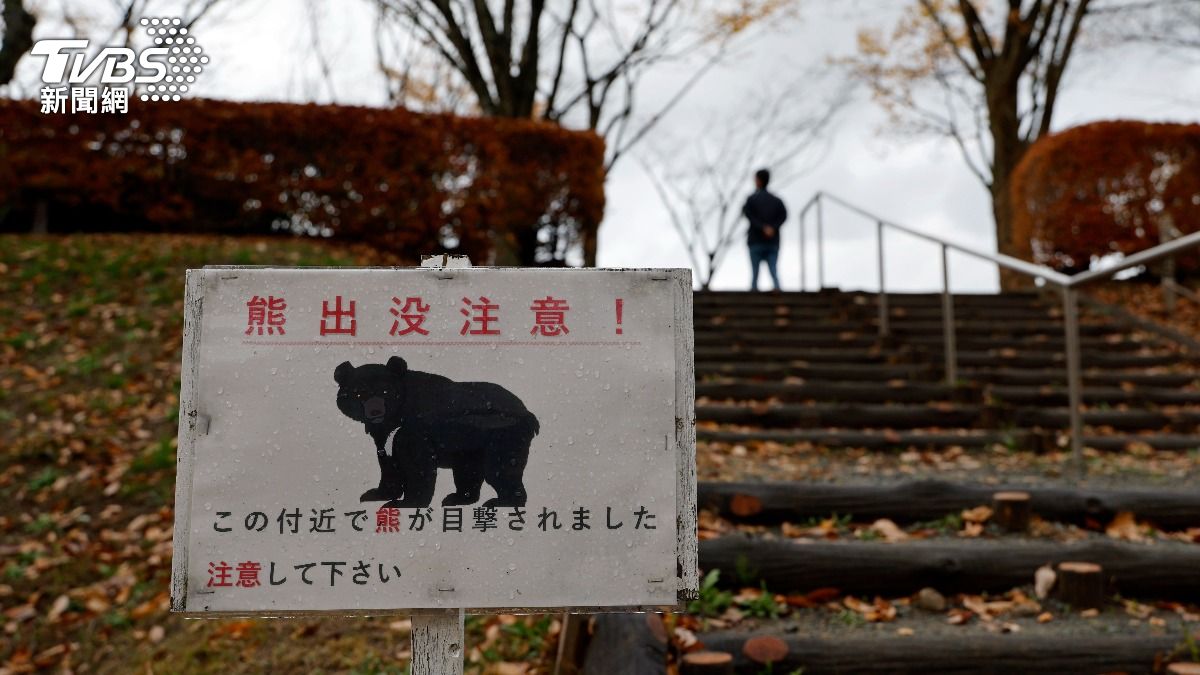 兩隻熊出沒岩手小學附近　秋田又一婦人遭熊襲擊亡