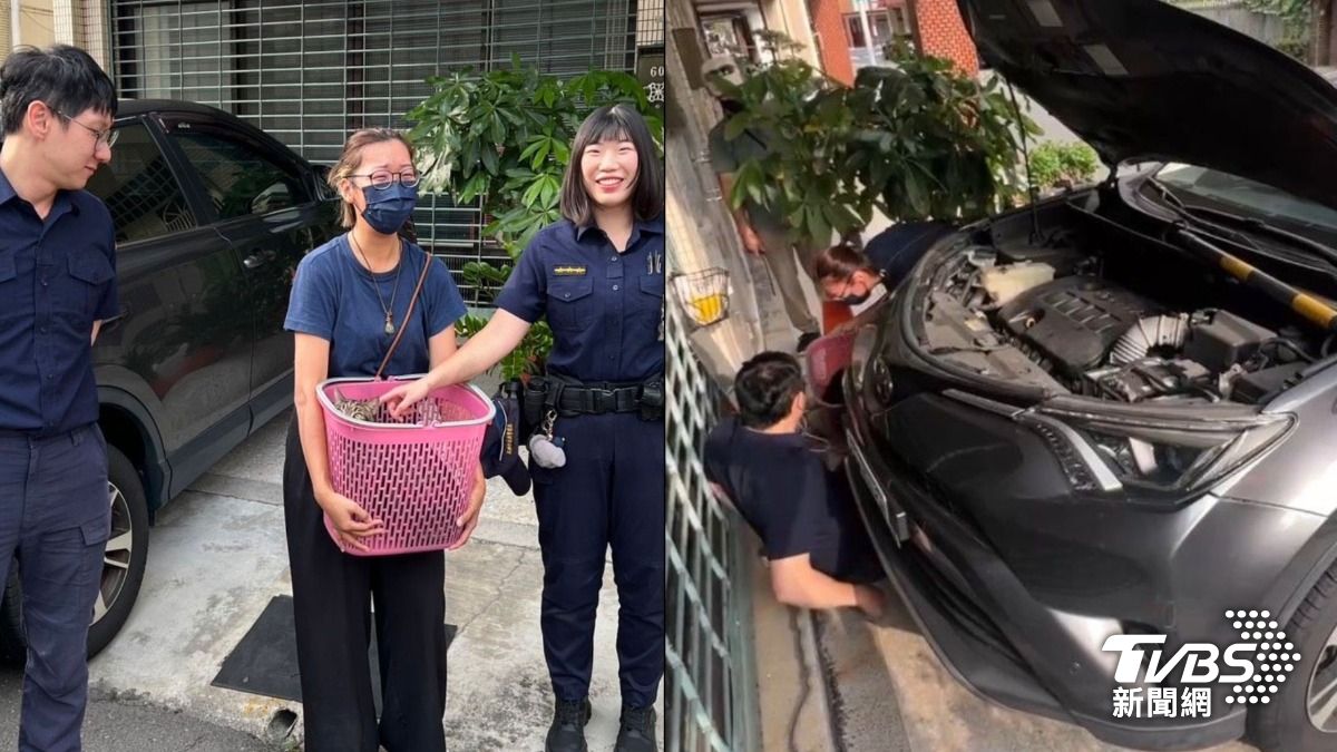 汽車一直喵喵叫？引擎撈出「大胖貓」  飼主找回牠喜極而泣