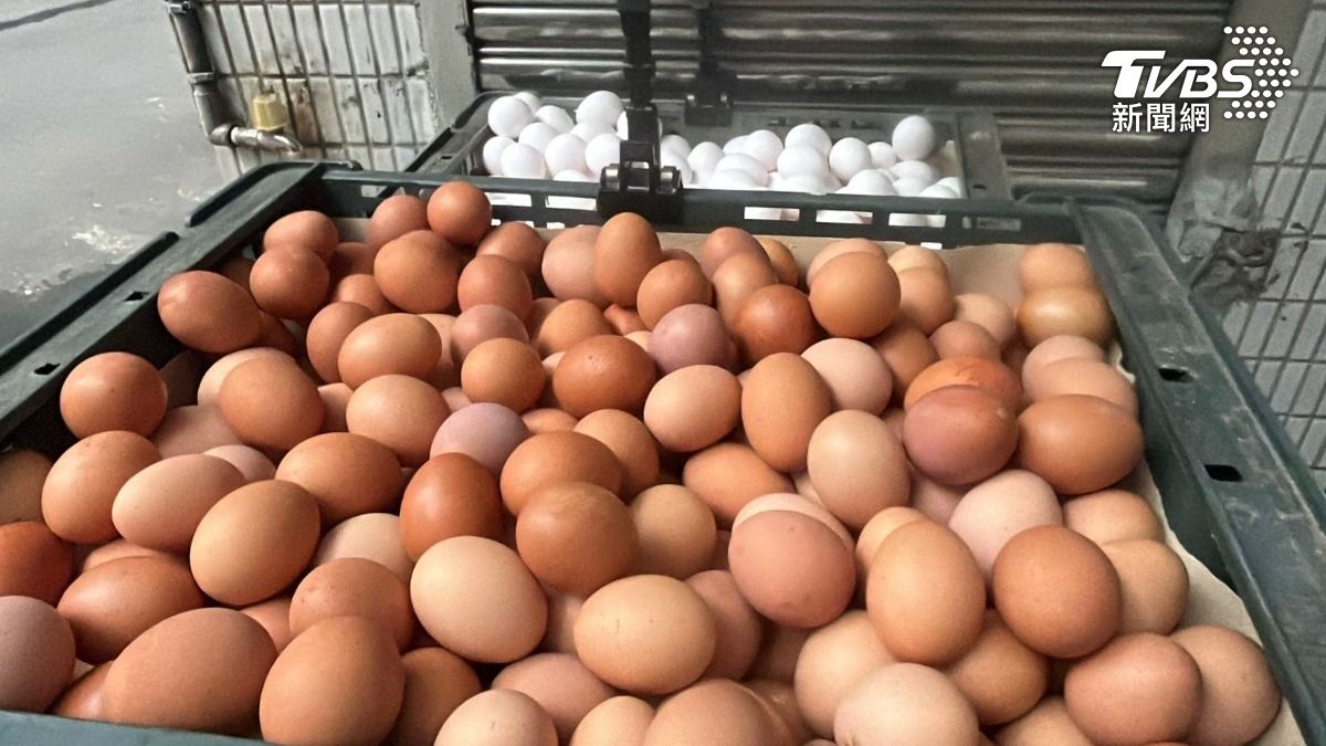 芬普尼蛋流入新北!衛生局公布新莊2蛋行 消費者可退貨