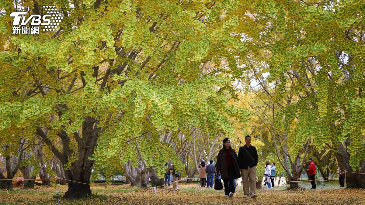 來去市政廳住一晚!　日舊設施景點變身特色住宿