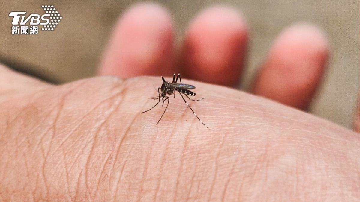 「無蚊淨土」冰島失守!暖化促蚊蟲擴散 美展開防治戰