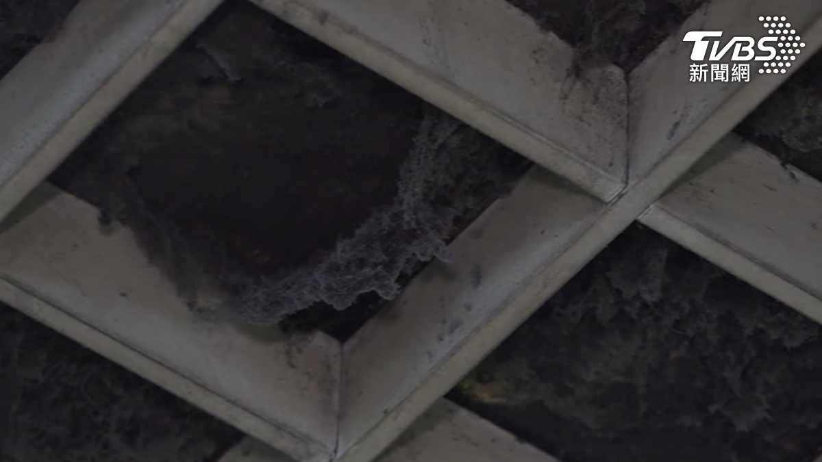 通風口灰塵結塊「毛茸茸」 北捷挨批清潔不力 允諾會改善