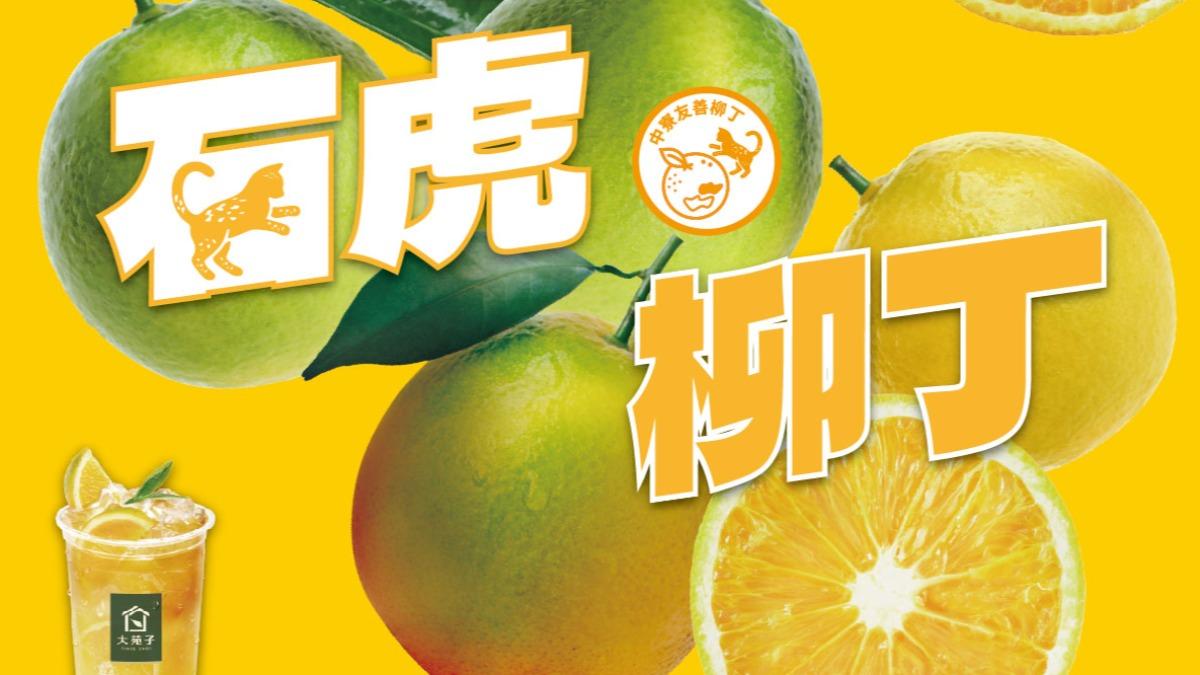 大苑子再回應!5聲明喊「沒標章≠沒買」石虎柳丁旨在理念倡議