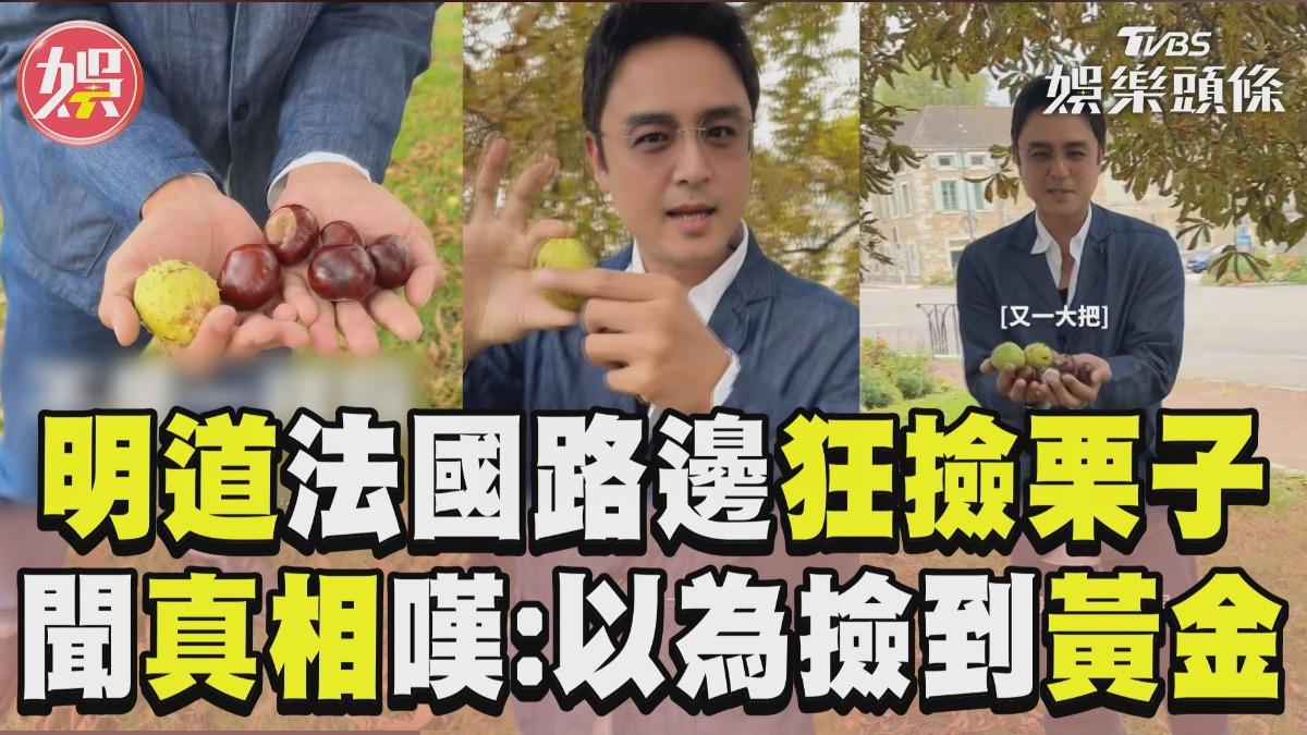 影音/明道「霸總變撿栗工」喊發財 聞1真相嘆:以為撿到黃金