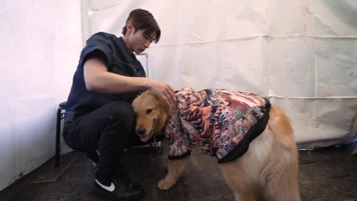 《萌寵明星粗乃玩》支線回歸！阿本+2黃金獵犬參加時裝秀