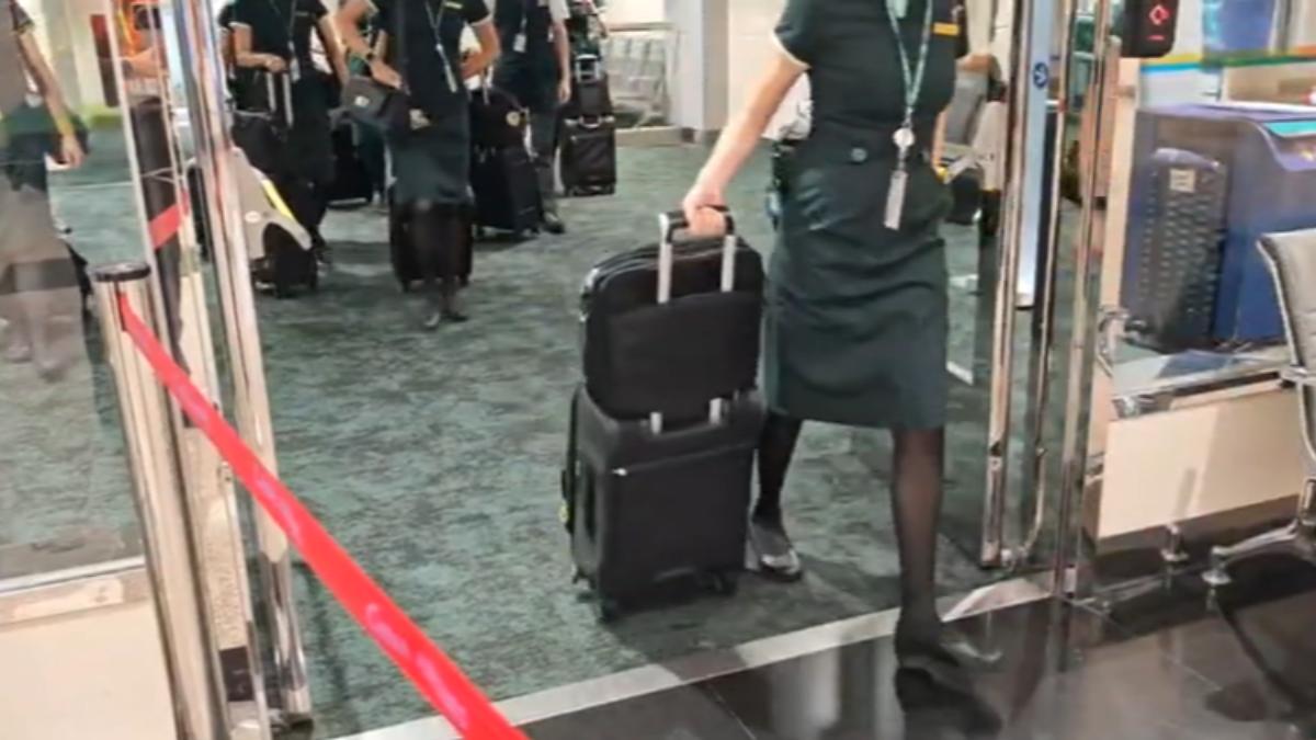 「長榮空服猝逝」調查出爐　勞動部：涉違勞基法