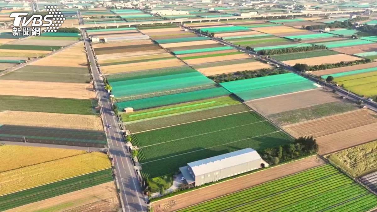 台灣農地如夢幻北海道！雲林彩色拼圖「從空中俯瞰」嘆為觀止