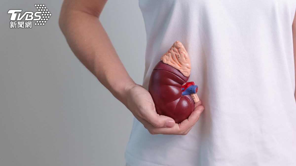 腎好就年輕！枸杞、山藥「補腎高手」　護腎食物TOP8一次看