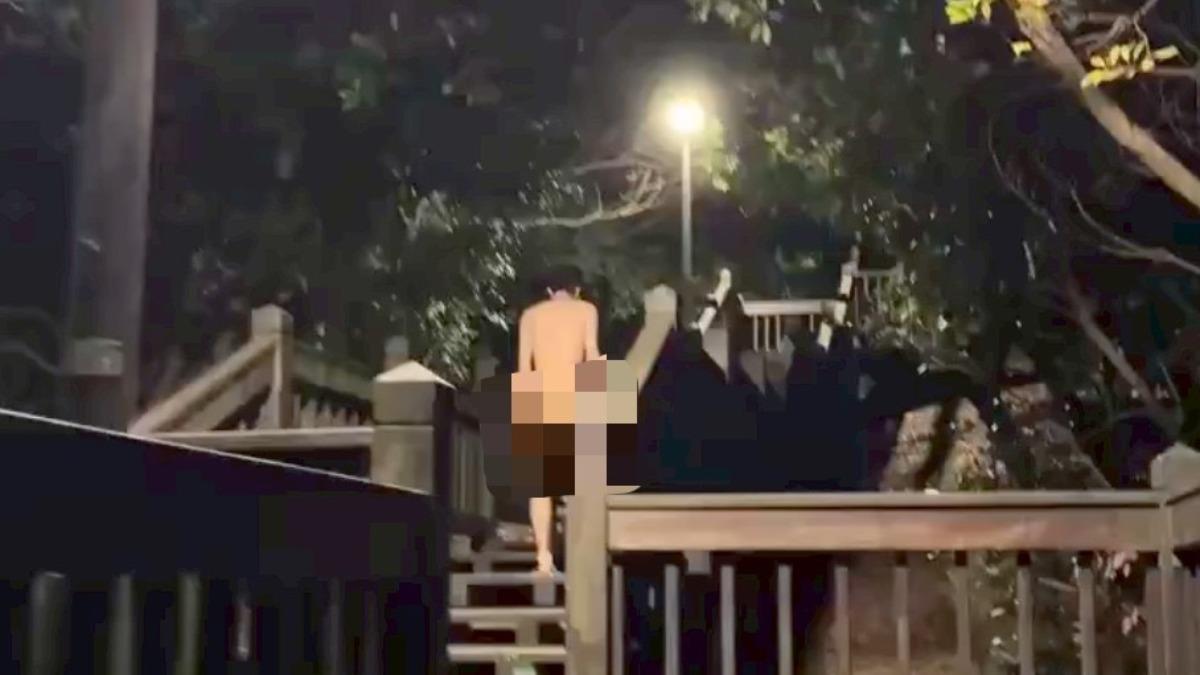 深夜裸體遛鳥！議員驚爆南港公園淪天體營群聚地　北市府出手了