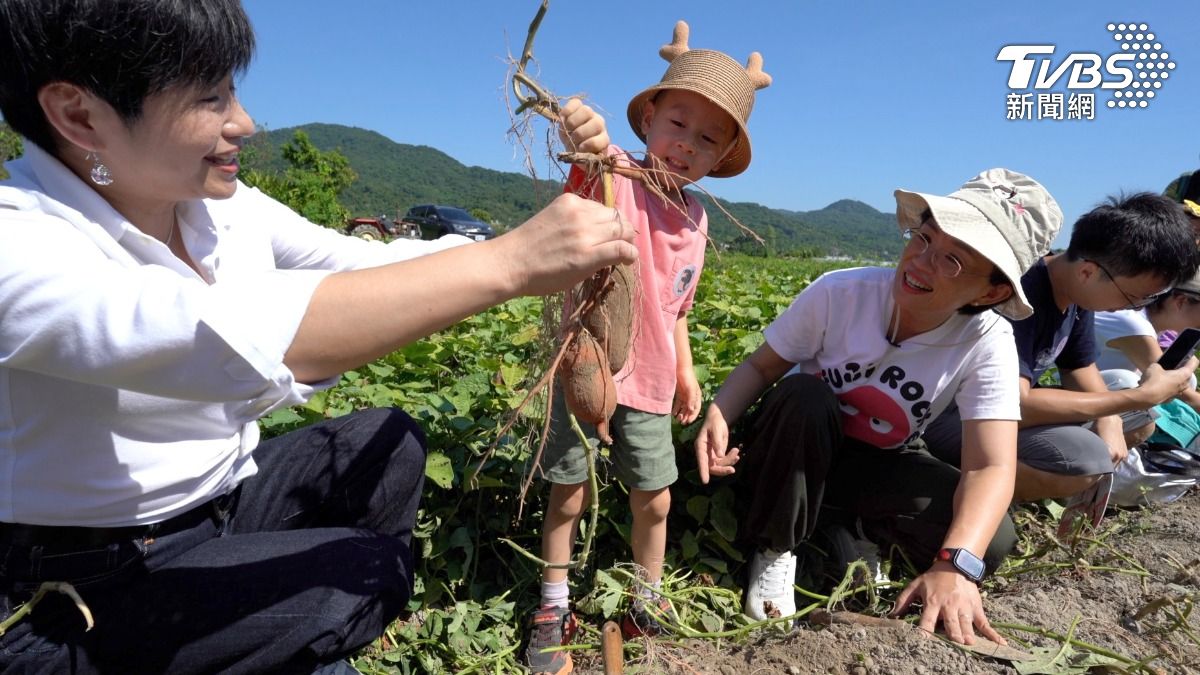 佳頴T政步／不是虎媽 : 蘇巧慧的焢窯教養 、三代綠衣人、土地的甜