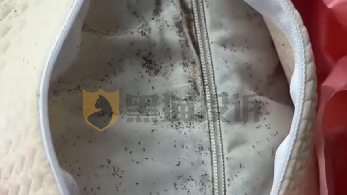 陸女網購枕頭驚見「數千活蟲」蠕動　業者反控她：沒保養拒賠