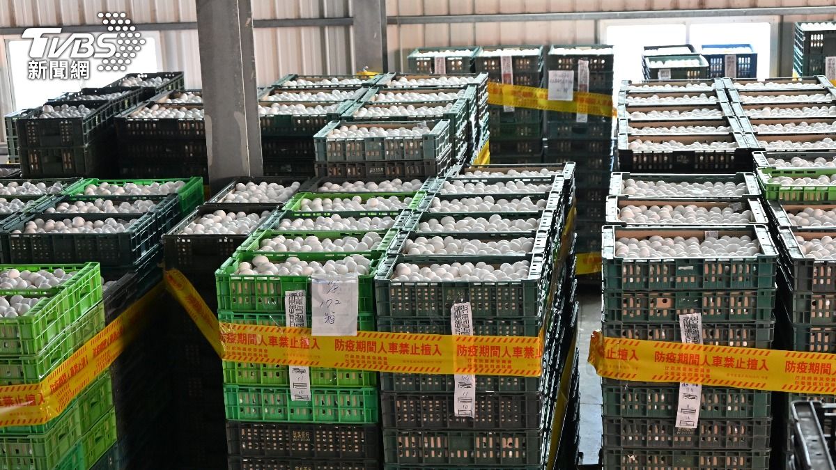 快訊／芬普尼蛋15高風險場檢驗　報告出爐：0超標