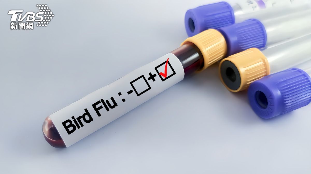 全球首例!人類染禽流感H5N5喪命 台灣也曾出現家禽案例