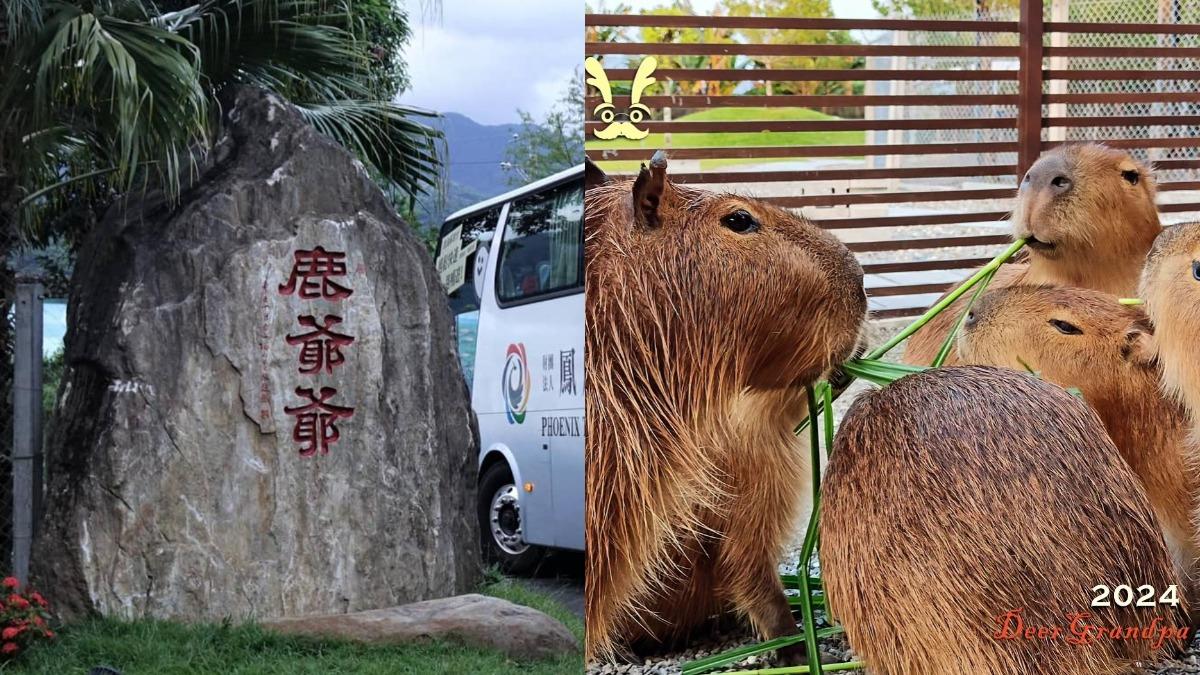 宜蘭4.9顆星「知名農場」掰了!12/1正式熄燈 旅客喊不捨