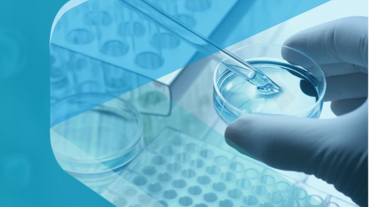 減肥新藥臨床突破！康霈今亮燈漲停　5千張排隊等買