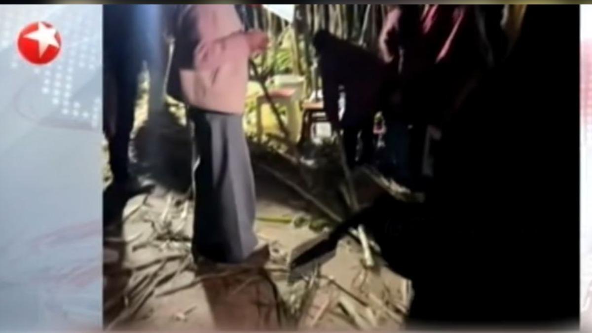 偷甘蔗體驗爆紅引數千人湧入!場面失控「砍刀被偷」 農場主崩潰改規則