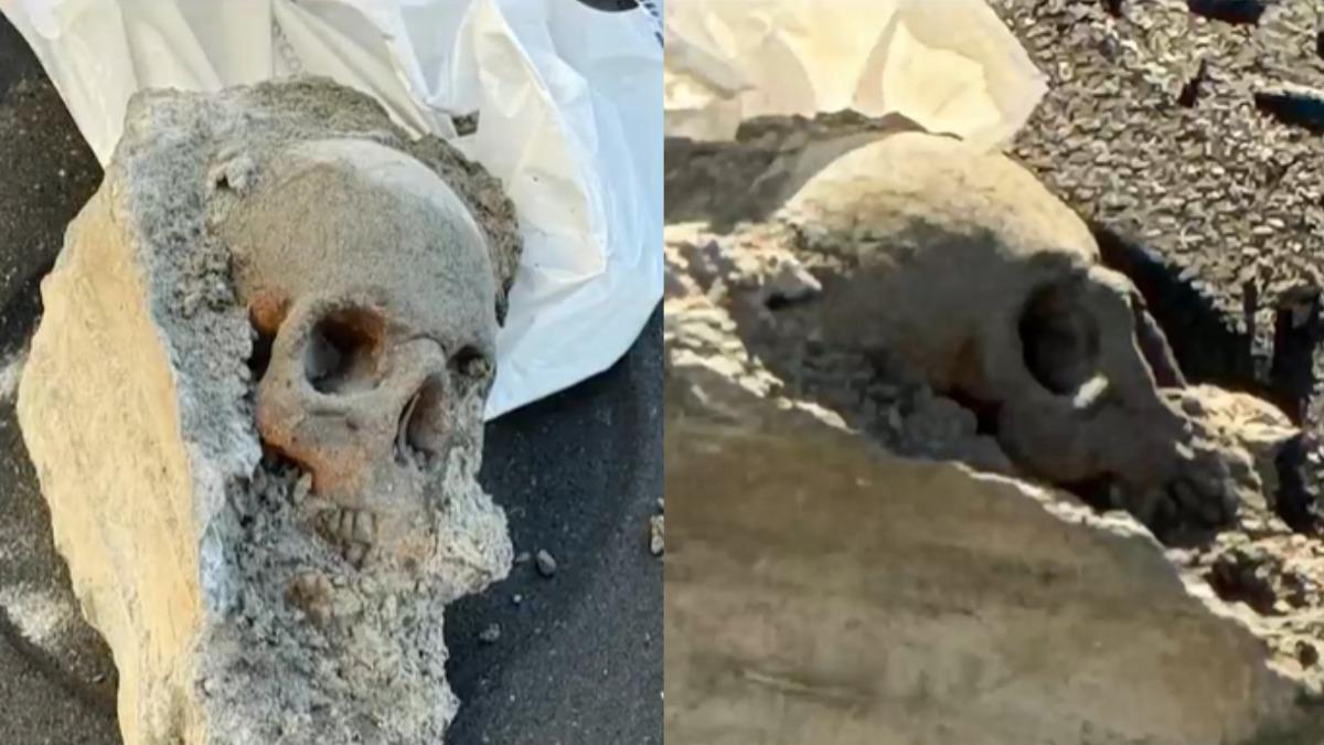 美黑幫懸案有解？混凝土中驚見「人類頭骨」　法醫揭真相
