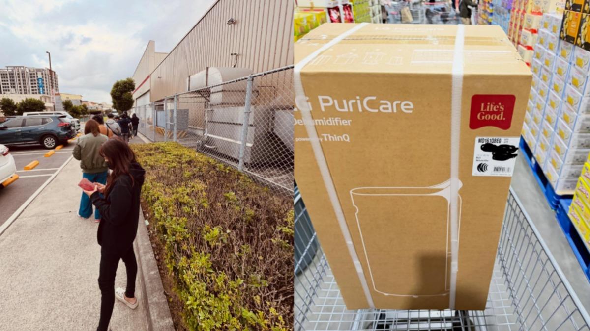 好市多黑五「5點半就排爆」！除濕機5分鐘搬空新手嚇傻：超扯