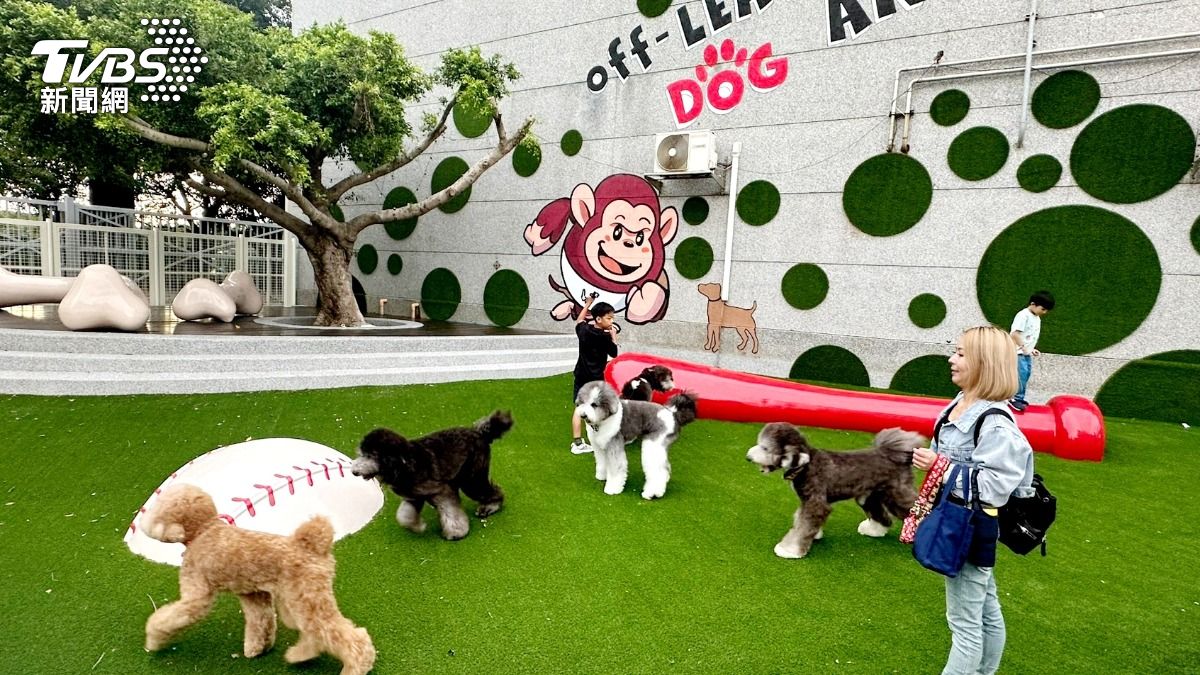全台唯一!樂天桃園棒球場寵物樂園歡樂時段免費開放