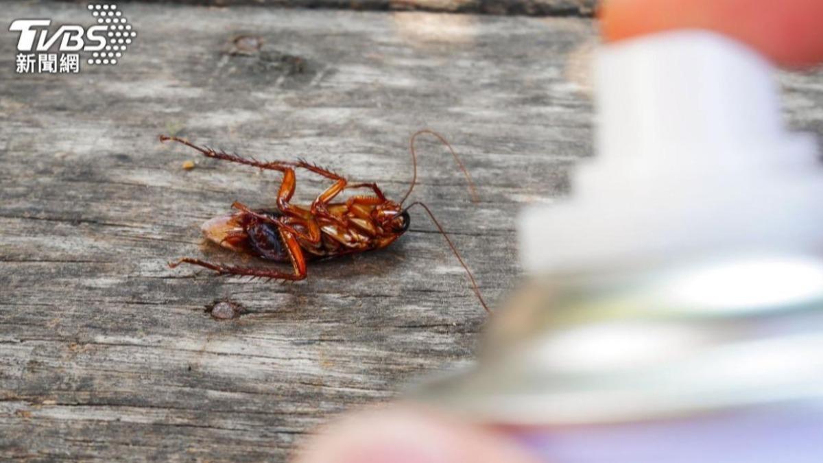 美國男比賽狂吞數十隻蟑螂　「活蟲堵呼吸道」窒息喪命