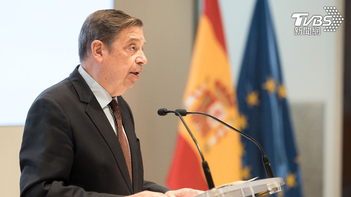 西班牙爆非洲豬瘟　1/3豬肉出口證書遭凍結