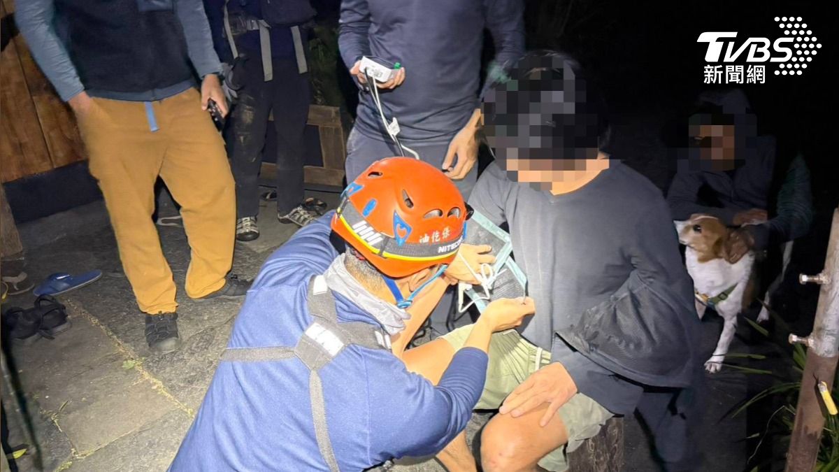 大花曼陀羅葉誤當「甲酸漿」!5人採食山區野葉險送命