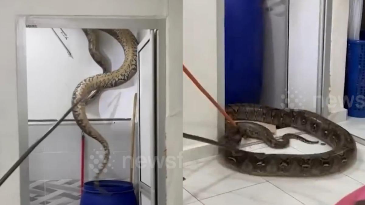 54������ߴ������ ȫ����ɵ