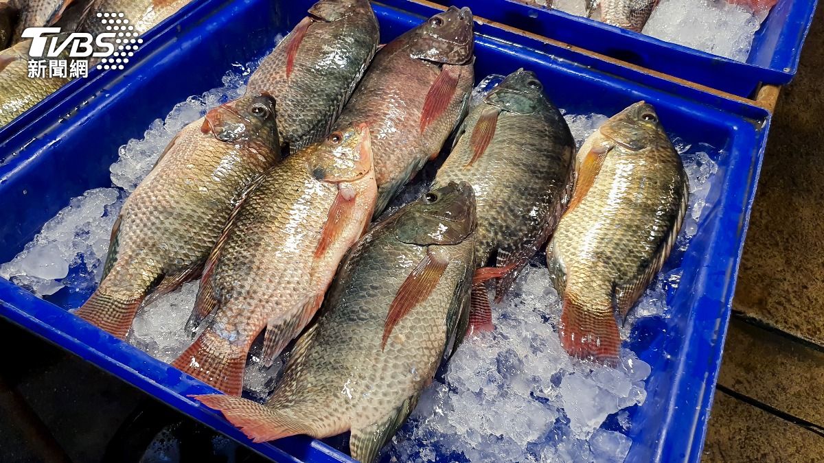 台灣鯛驗出禁藥「恩氟喹啉羧酸」 吃到會怎樣?毒物醫解答