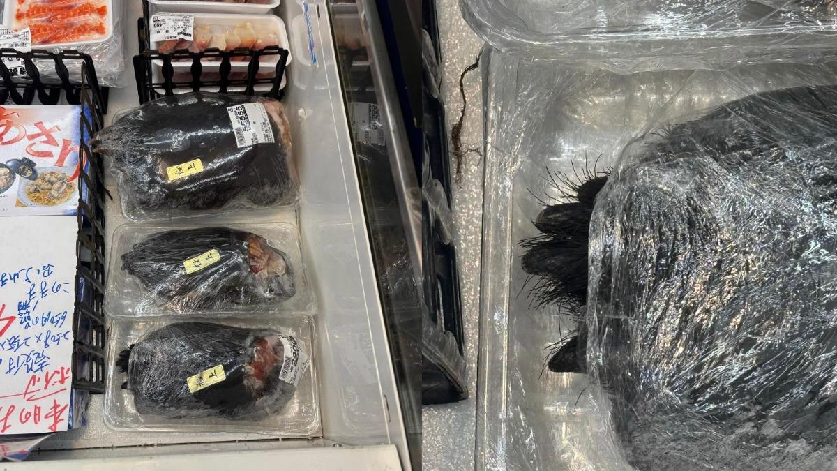 日本超市賣「完整熊掌」！毛髮、指甲都還在　驚人天價曝光