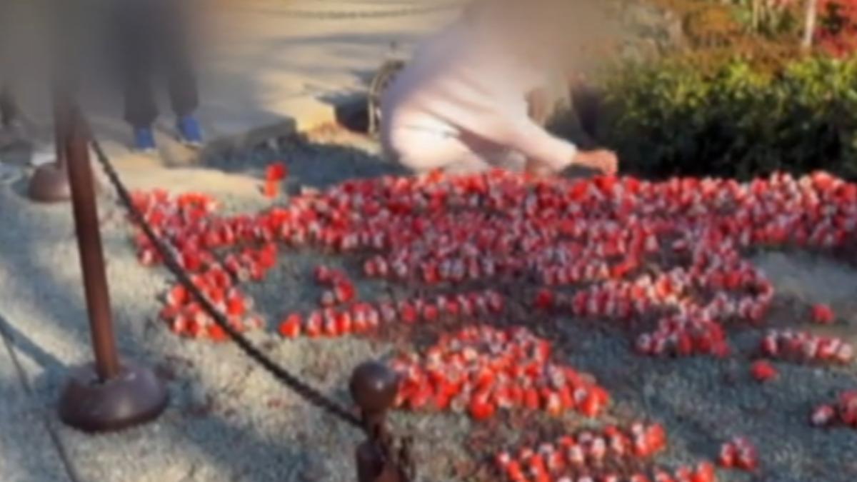 疑陸女失控搞破壞！ 大阪勝尾寺「台灣達摩」毀