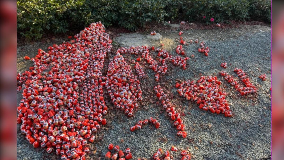 疑中國女不爽大阪勝尾寺「達摩台灣」　不顧丈夫勸阻硬闖破壞