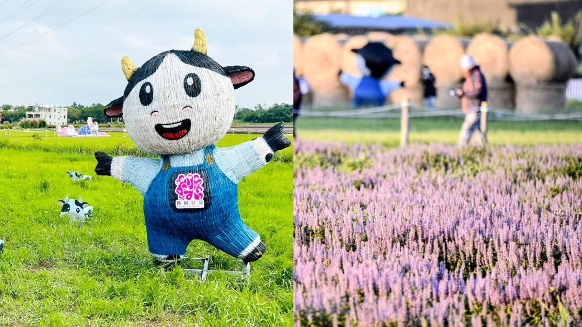 2025楊梅畜產嘉年華來了 富岡鐵道、仙草花海網美造景一次看