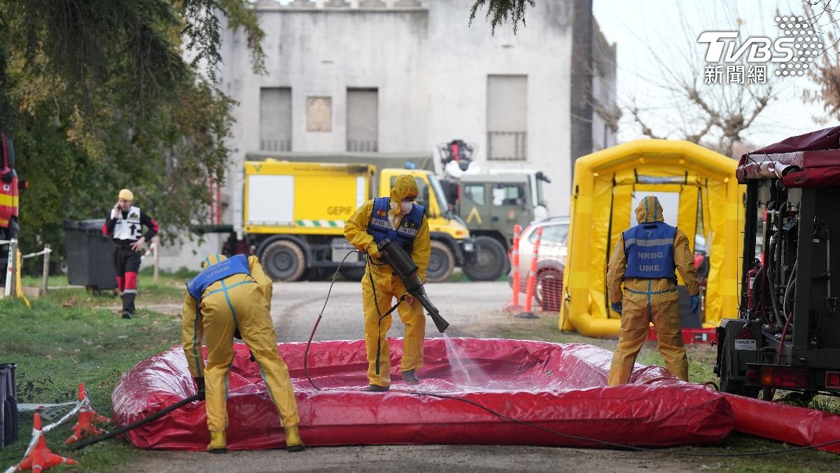 西班牙發現7起新非洲豬瘟病例 總病例數增至9起