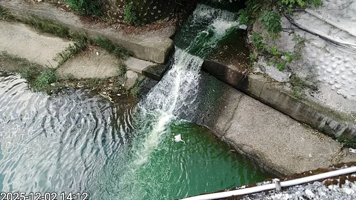 新店五重溪污染「變綠的」!環保局初判染劑、油漆 急追源頭