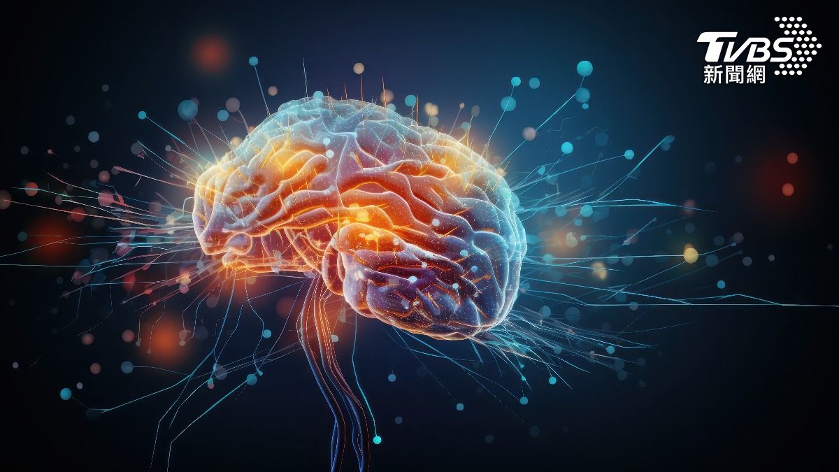 32歲才成熟 劍橋大學研究揭大腦發育「五關鍵階段」