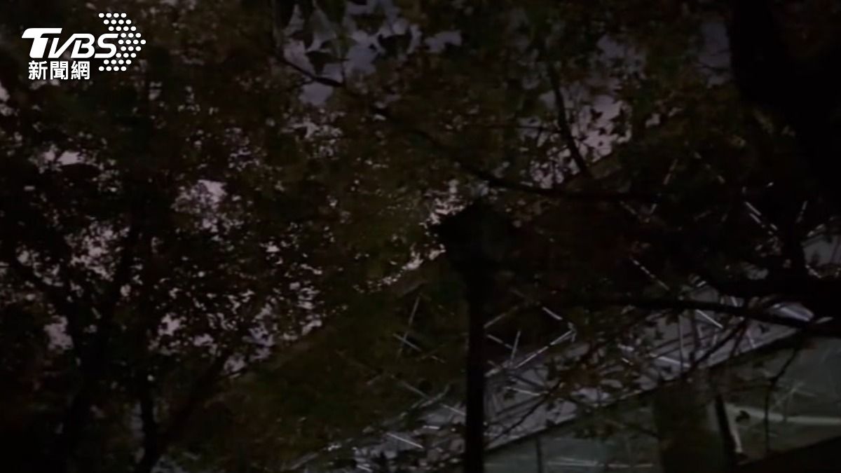 北市文化小旅行「恐怖片」　入夜伸手不見五指