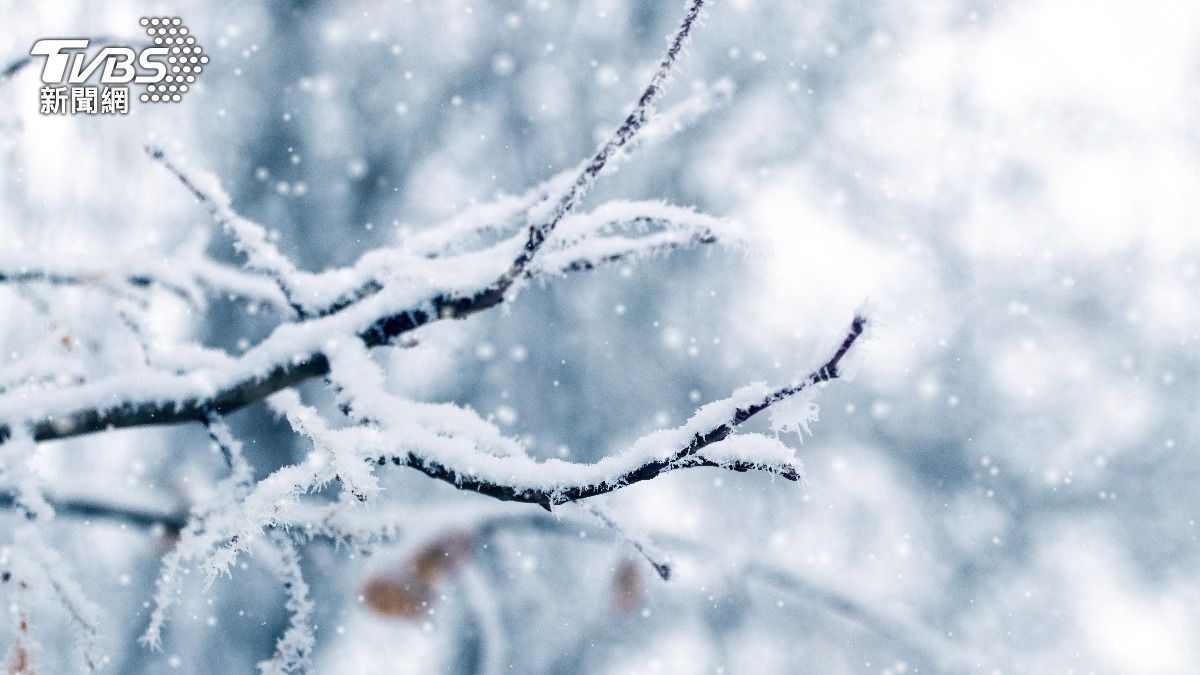 大雪後喜迎「天姚星」！4生肖事業運狂飆　人見人愛等升官加薪