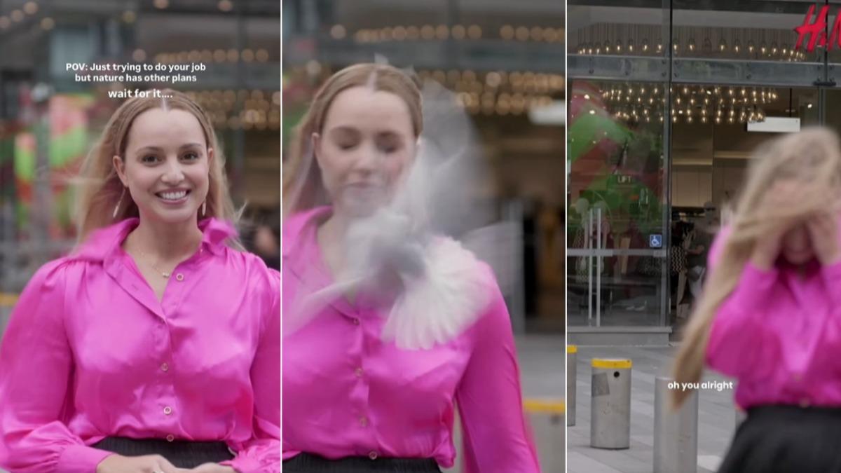 女記者播報一半臉遭海鷗重擊！眼角秒濺血　瞬間全錄下