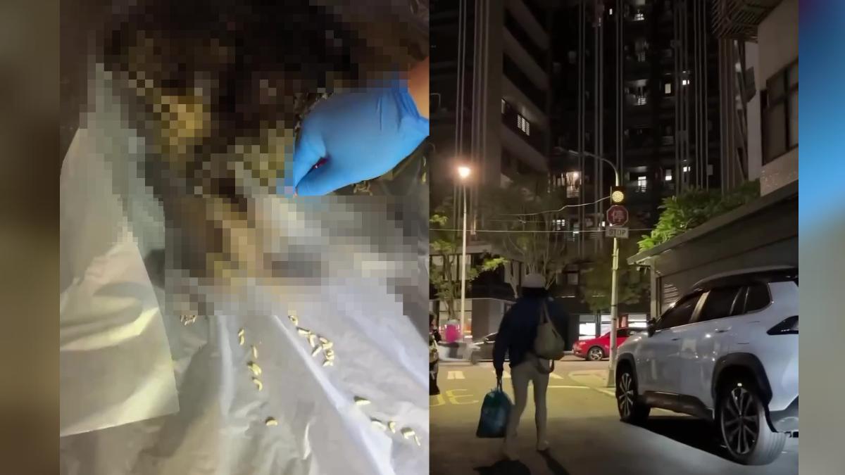 把貓屍當垃圾丟被抓包。(圖/翻攝畫面) 圖/把貓屍當垃圾丟被抓包。(TVBS 提供)