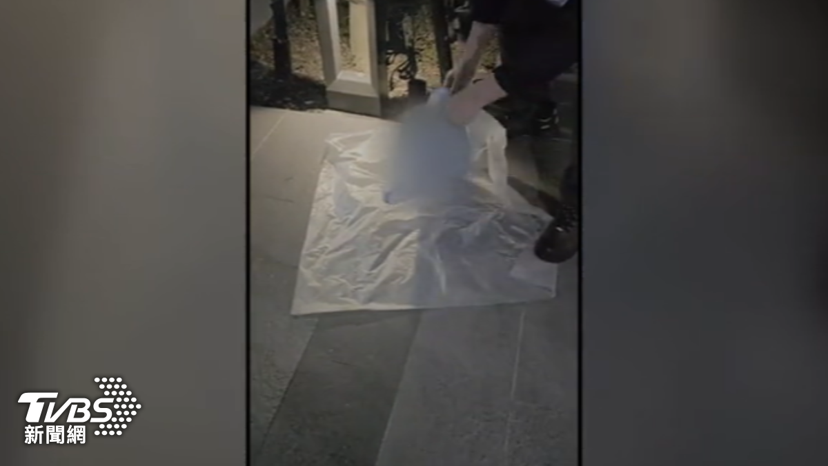 整袋蛆蟲貓屍！兩垃圾袋裝12具貓屍　信義女遭控「狠心虐貓」