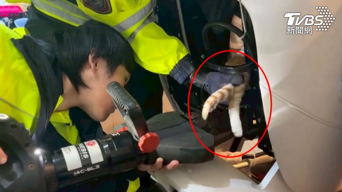 搶救貓咪大作戰!幼喵卡在「按摩椅」 消防隊拆解救援