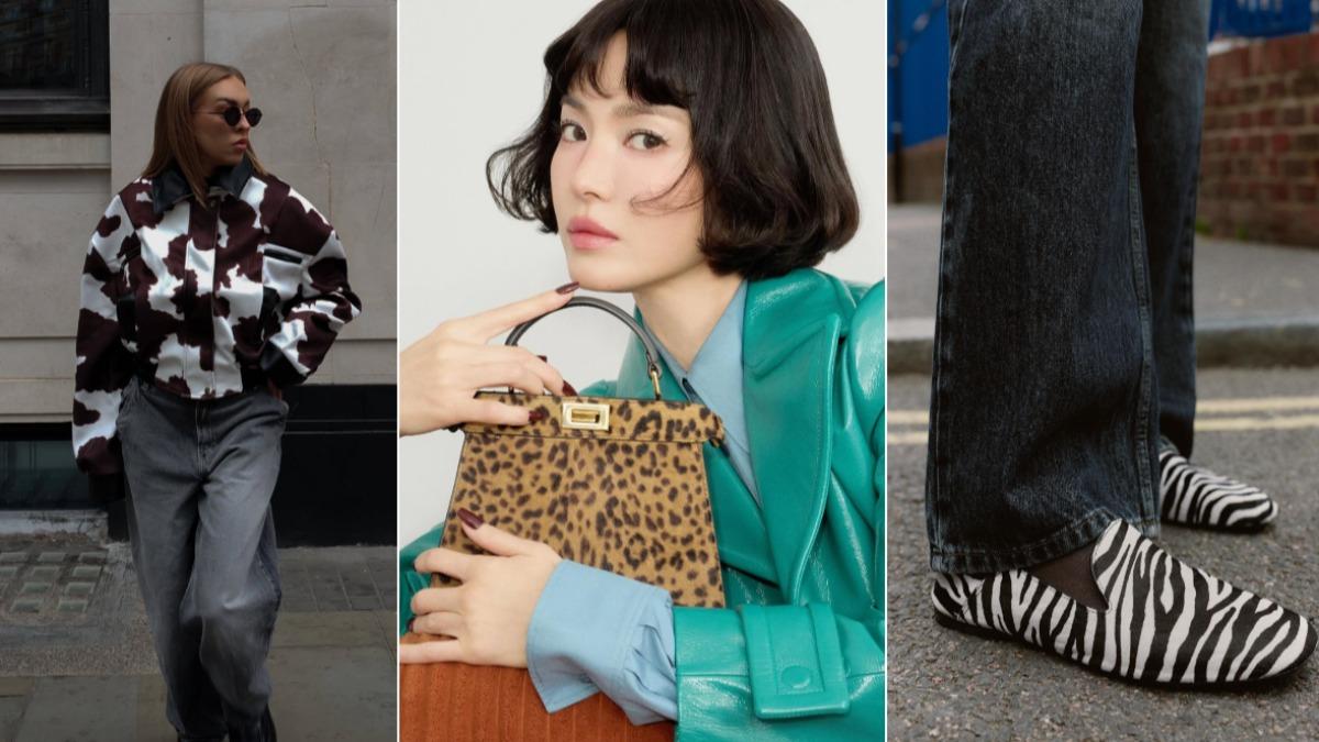 秋冬穿搭必備！「動物紋」強勢回歸　搭配、推薦單品一次看