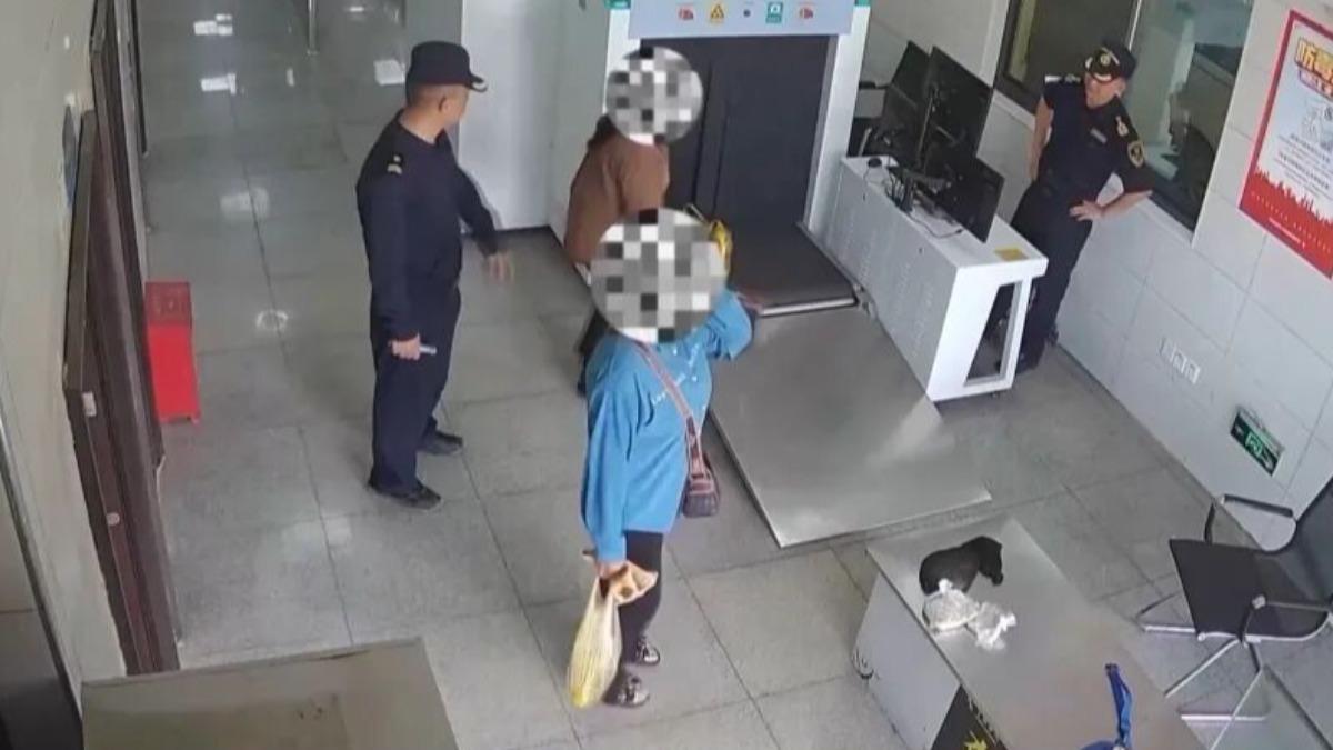 昆明海關西雙版納隸屬海關查到3人試圖私帶竹蟲入境。(圖/翻攝自央視) 圖/昆明海關西雙版納隸屬海關查到3人試圖私帶竹蟲入境。(TVBS 提供)
