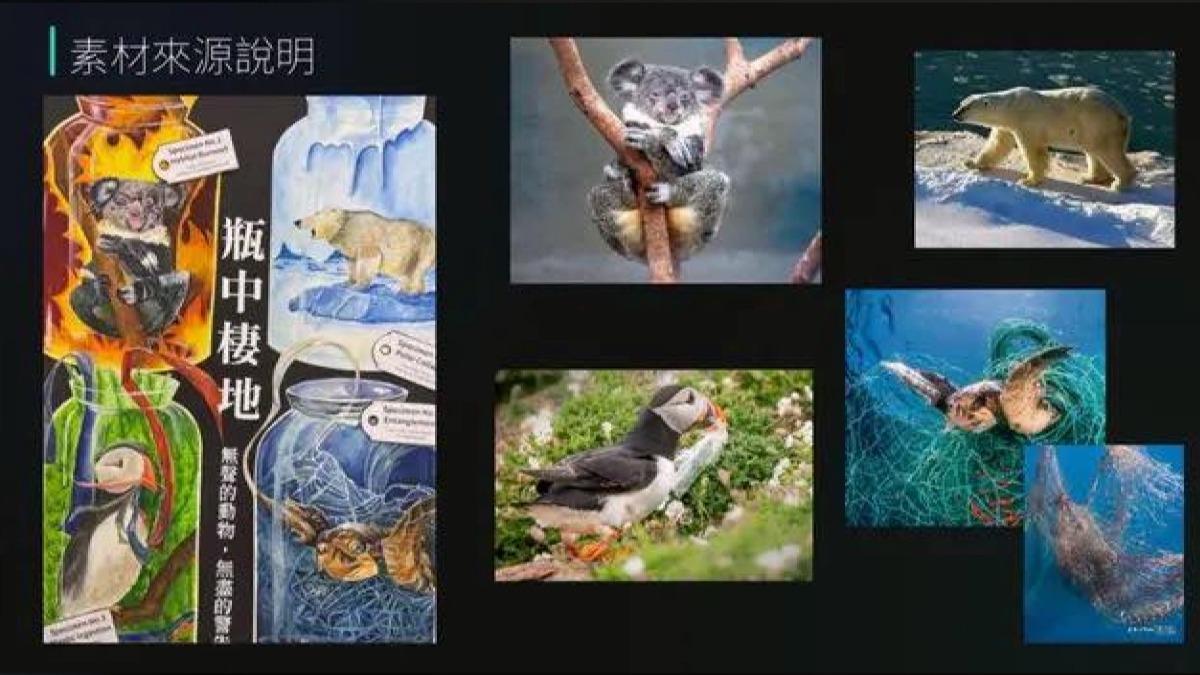 美術比賽畫「海龜」被認抄襲！老師怒不公　教育局回應了