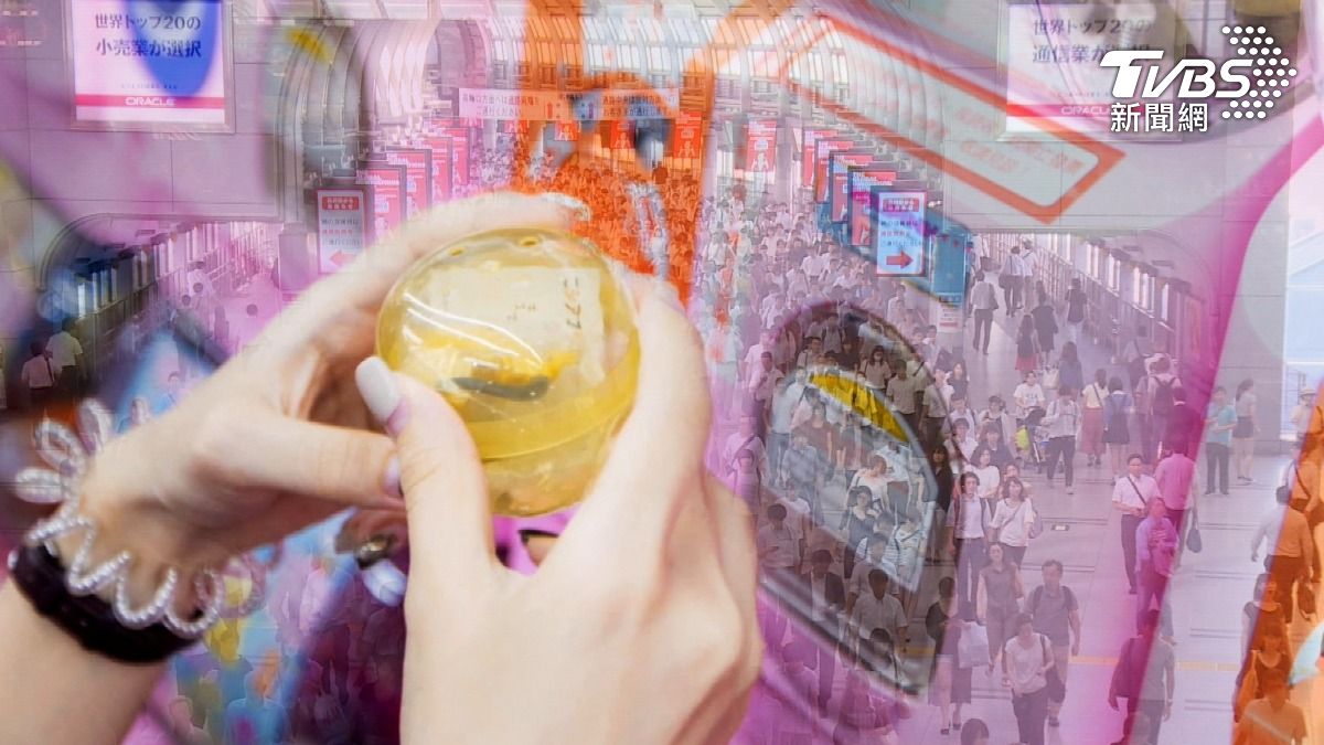 日本「父母扭蛋」熱議　9歲童信「命中注定」專家：努力才能扭轉人生