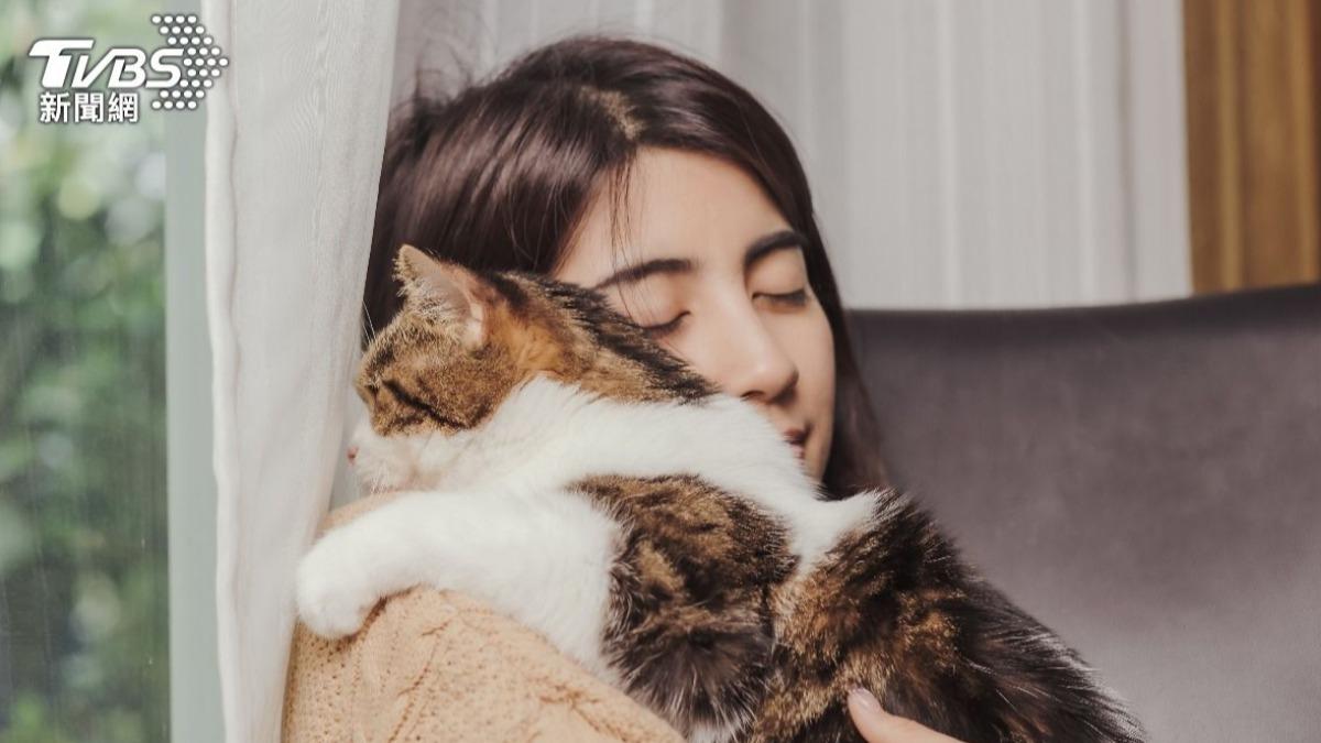 人貓共存難？澳激辯立法嚴管貓咪行動　英擬放野貓回自然